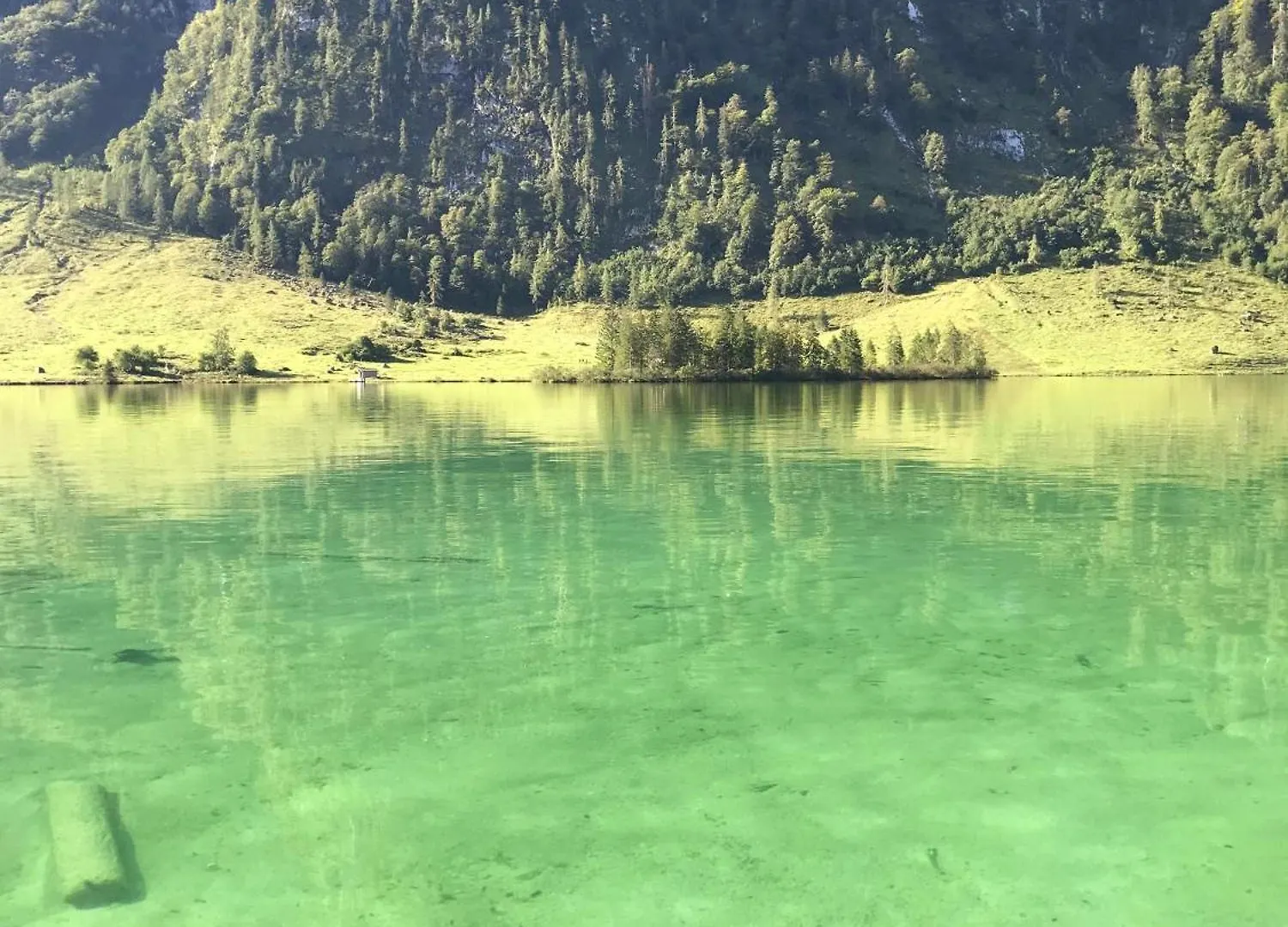 Ferienwohnung Bea'S Bergblick バートライヘンハル